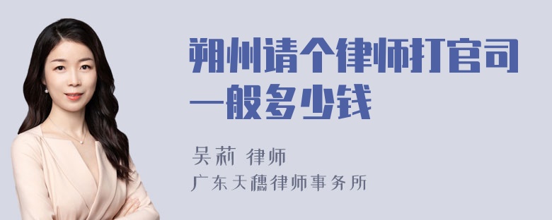 朔州请个律师打官司一般多少钱