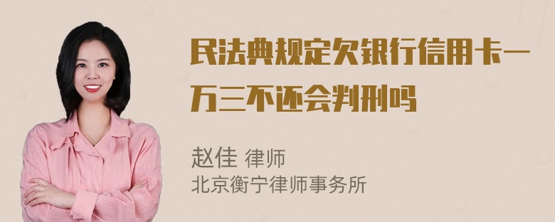 民法典规定欠银行信用卡一万三不还会判刑吗