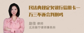 民法典规定欠银行信用卡一万三不还会判刑吗