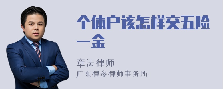 个体户该怎样交五险一金