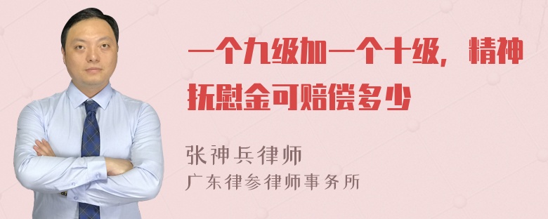 一个九级加一个十级，精神抚慰金可赔偿多少