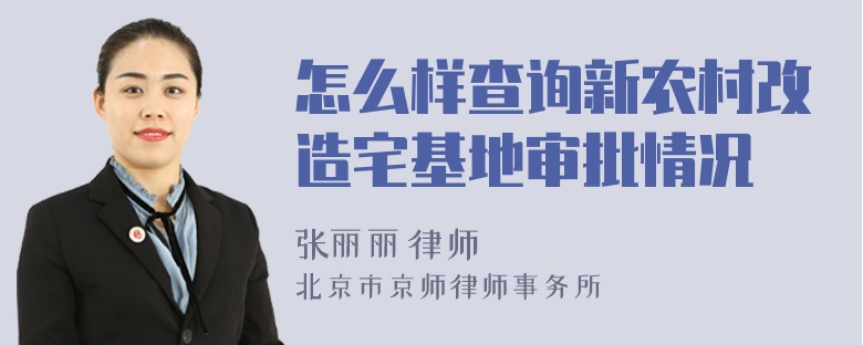 怎么样查询新农村改造宅基地审批情况