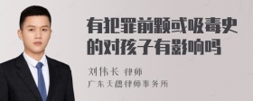 有犯罪前颗或吸毒史的对孩子有影响吗