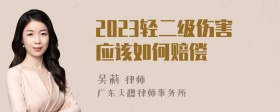 2023轻二级伤害应该如何赔偿