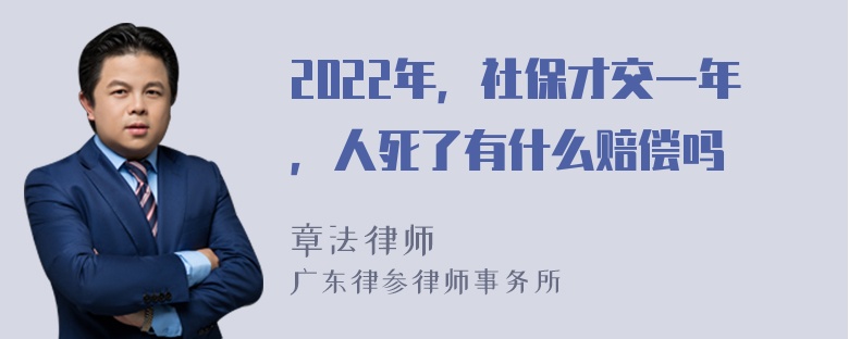 2022年，社保才交一年，人死了有什么赔偿吗