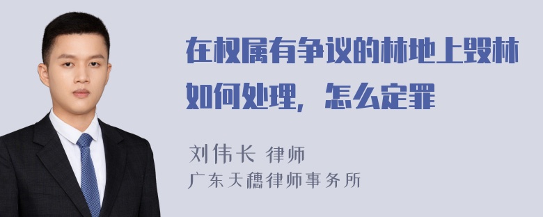 在权属有争议的林地上毁林如何处理，怎么定罪