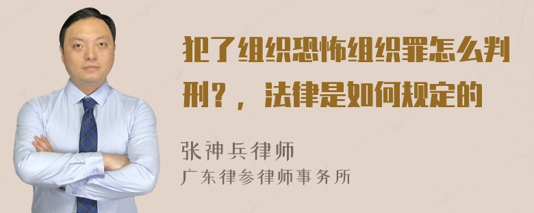 犯了组织恐怖组织罪怎么判刑？，法律是如何规定的