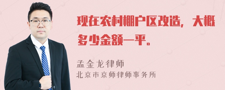 现在农村棚户区改造，大概多少金额一平。