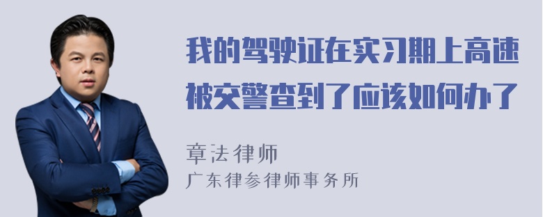 我的驾驶证在实习期上高速被交警查到了应该如何办了