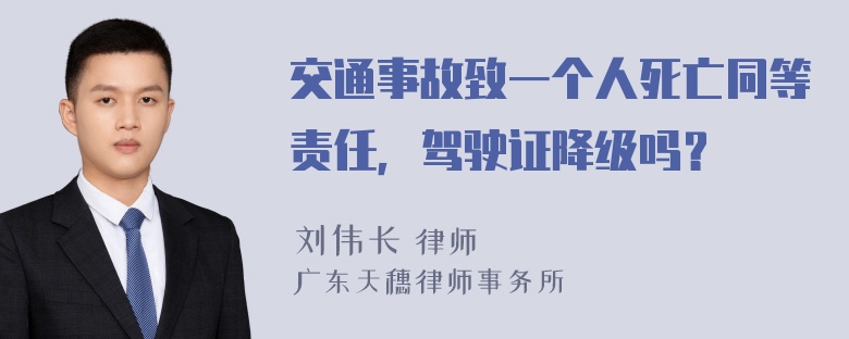 交通事故致一个人死亡同等责任，驾驶证降级吗？