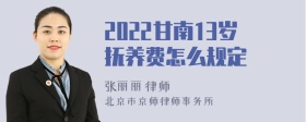 2022甘南13岁抚养费怎么规定