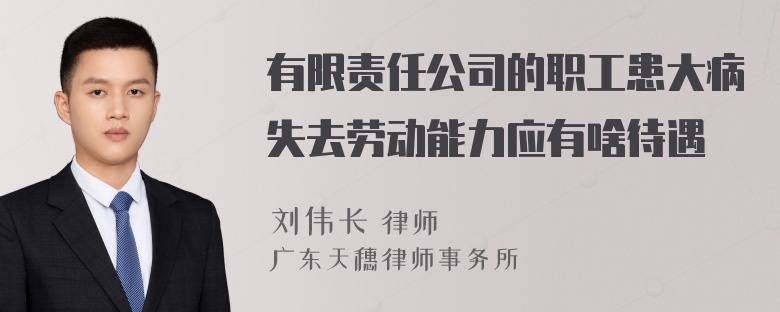 有限责任公司的职工患大病失去劳动能力应有啥待遇