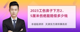 2023工伤鼻子下方2．5厘米伤疤能赔偿多少钱