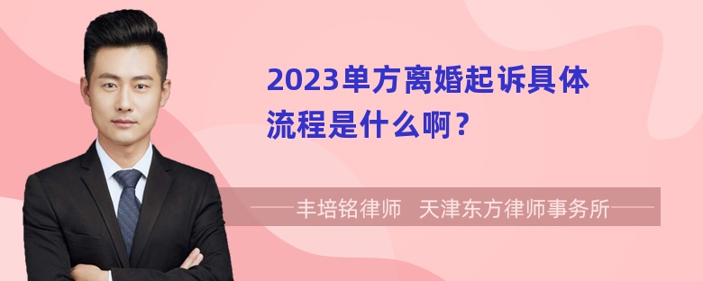 2023单方离婚起诉具体流程是什么啊？