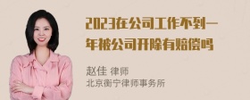 2023在公司工作不到一年被公司开除有赔偿吗