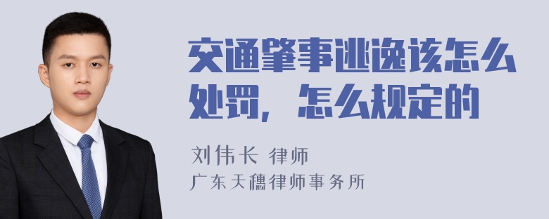 交通肇事逃逸该怎么处罚，怎么规定的