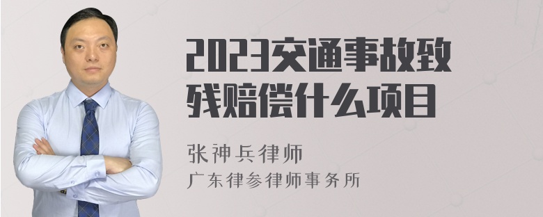 2023交通事故致残赔偿什么项目