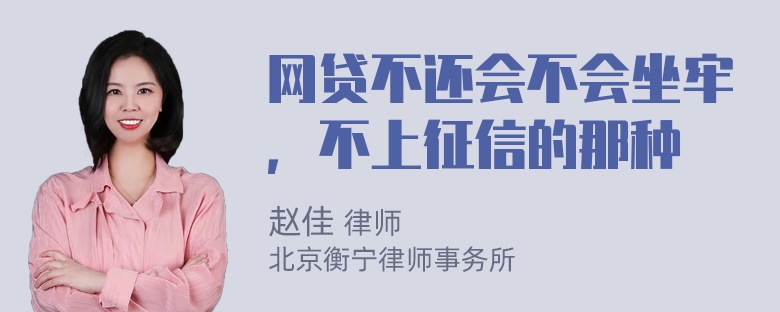 网贷不还会不会坐牢，不上征信的那种