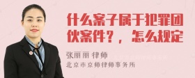 什么案子属于犯罪团伙案件？，怎么规定