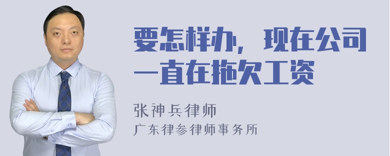 要怎样办，现在公司一直在拖欠工资