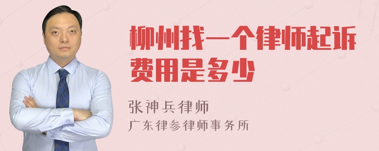 柳州找一个律师起诉费用是多少