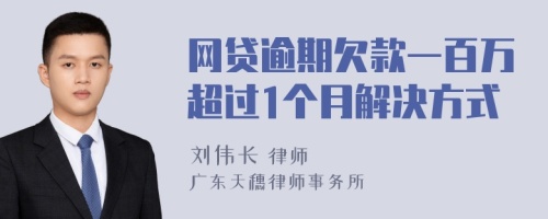 网贷逾期欠款一百万超过1个月解决方式