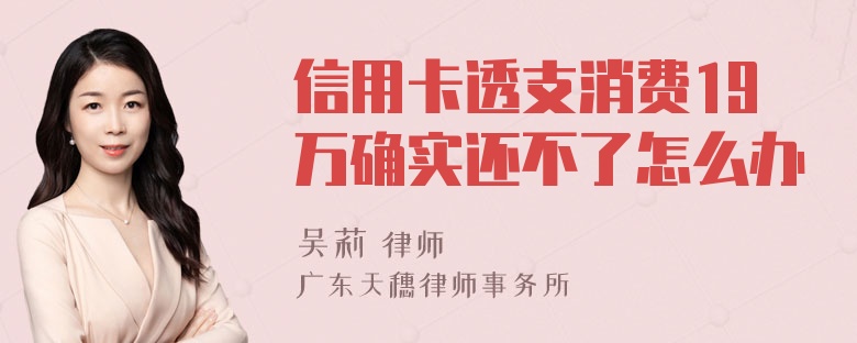 信用卡透支消费19万确实还不了怎么办