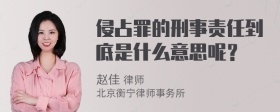 侵占罪的刑事责任到底是什么意思呢？