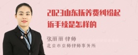 2023山东抚养费纠纷起诉手续是怎样的