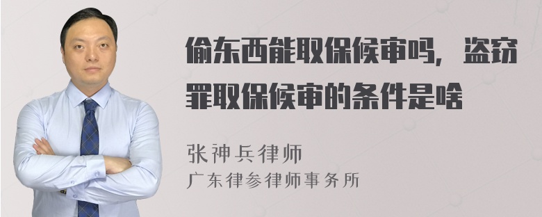 偷东西能取保候审吗，盗窃罪取保候审的条件是啥