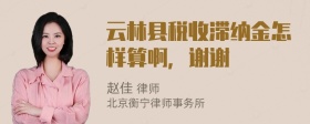 云林县税收滞纳金怎样算啊，谢谢