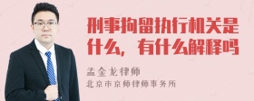 刑事拘留执行机关是什么，有什么解释吗