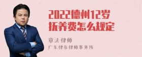 2022德州12岁抚养费怎么规定