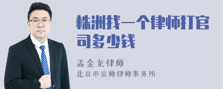 株洲找一个律师打官司多少钱