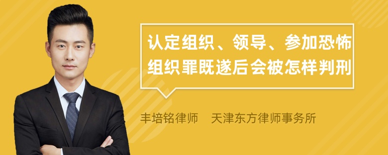 认定组织、领导、参加恐怖组织罪既遂后会被怎样判刑