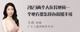 2023两个人在异地同一个地方要怎样办离婚手续