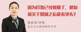 因为打架已经被抓了，想知道关于批捕之后能看望么？