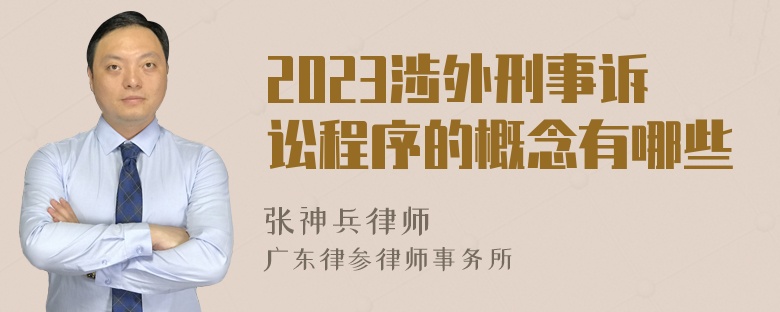 2023涉外刑事诉讼程序的概念有哪些