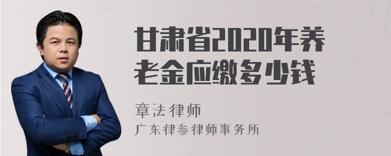 甘肃省2020年养老金应缴多少钱