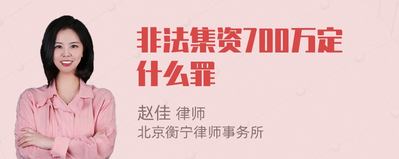 非法集资700万定什么罪