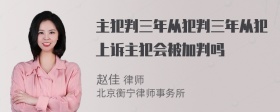 主犯判三年从犯判三年从犯上诉主犯会被加判吗