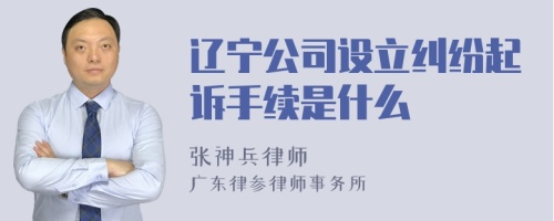 辽宁公司设立纠纷起诉手续是什么