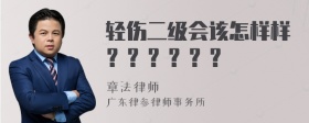 轻伤二级会该怎样样？？？？？？