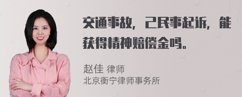 交通事故，己民事起诉，能获得精神赔偿金吗。