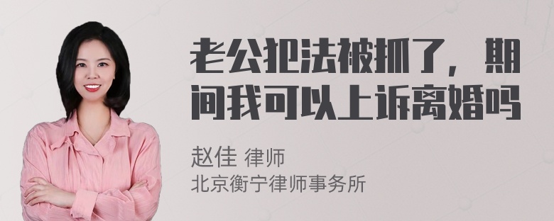 老公犯法被抓了，期间我可以上诉离婚吗