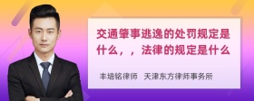 交通肇事逃逸的处罚规定是什么，，法律的规定是什么