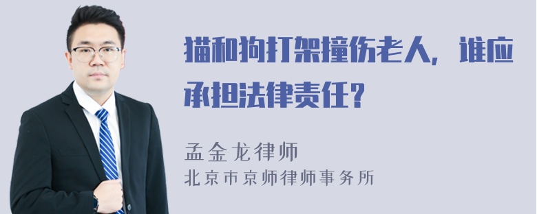 猫和狗打架撞伤老人，谁应承担法律责任？