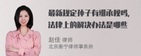 最新规定孙子有继承权吗，法律上的解决办法是哪些