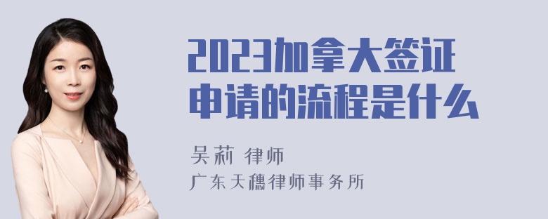2023加拿大签证申请的流程是什么