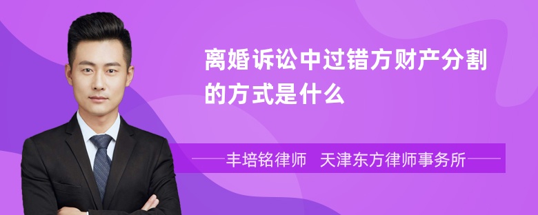 离婚诉讼中过错方财产分割的方式是什么